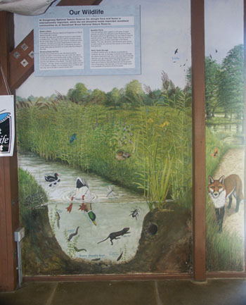 Romney Visitor Centre mural